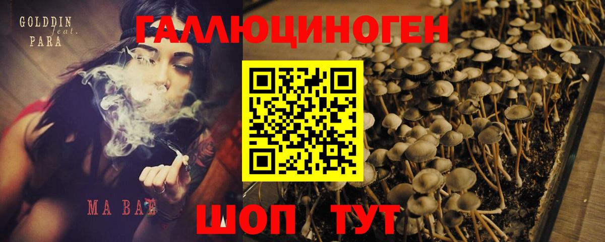 Галлюциногенные грибы мицелий  Псилоцибиновые грибы мухоморы  Дербент  Вход с VPN 